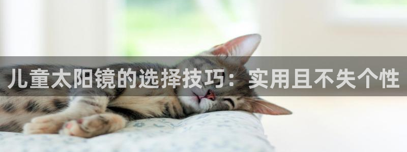 新宝5怎么下载到桌面