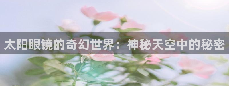 新宝股东瞧听2 5 5