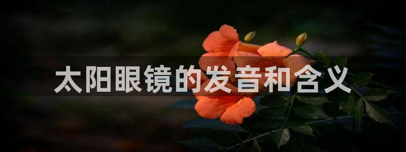 新宝娱乐5入口