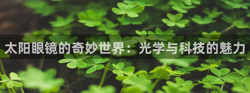 新宝5app手机下载