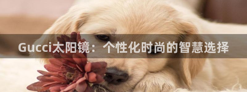 新宝娱乐5入口