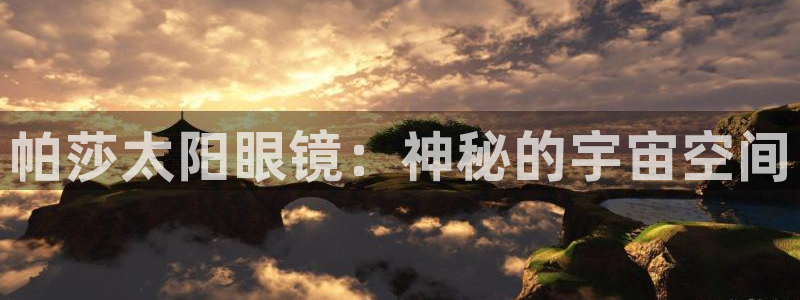新宝股东张听2 5 5