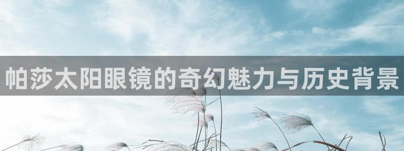 新宝5主管