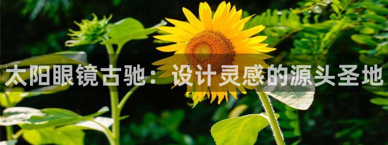 新宝5挂机软件