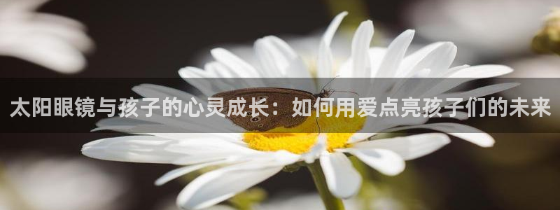 新宝5主管