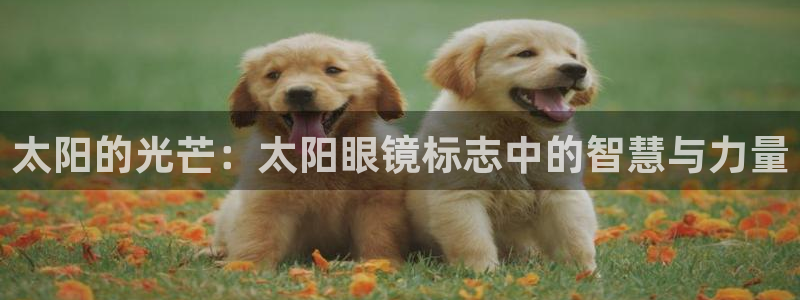 股票5G宝新