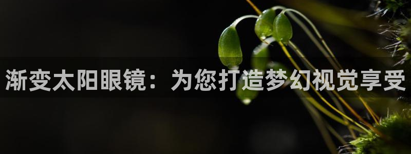 新宝5平台登录下载软件