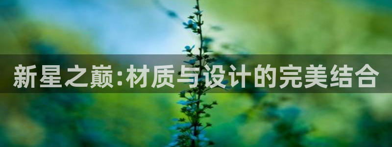 新宝6霸哥5