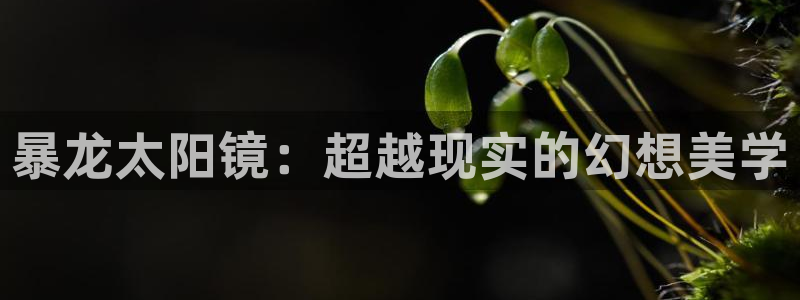 新宝m2O5O5O