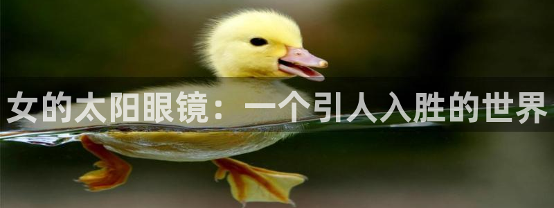 新宝5唯一