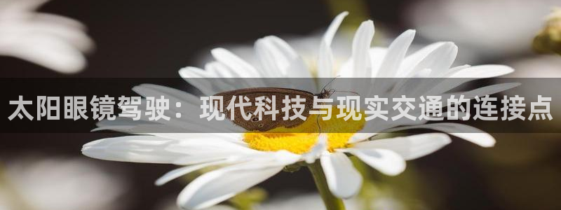 新宝5可靠吗