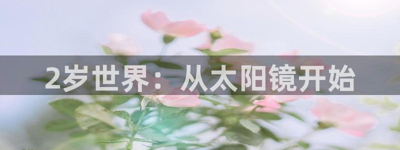 新宝5下载app