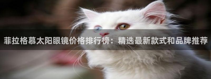 新宝5手机版