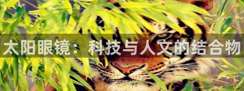 新宝5唯一