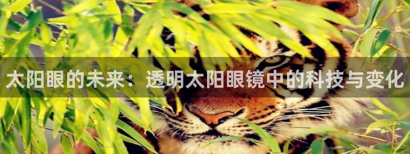 新宝5玩法
