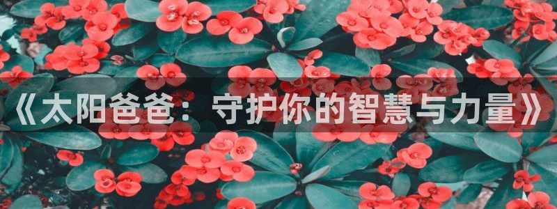 新宝5月