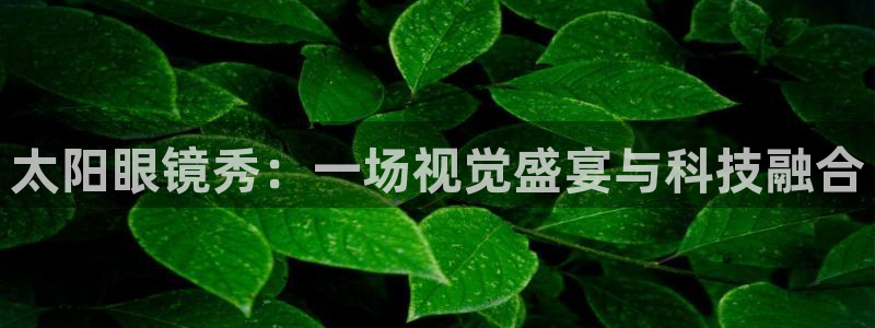 新宝5寂创33300散