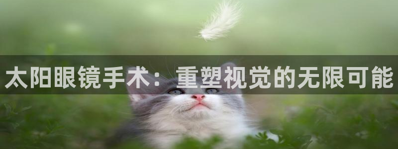 新宝5新宝6顺达